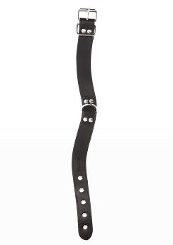 Elegant D-Ring Collar
