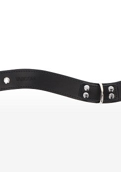 Elegant D-Ring Collar